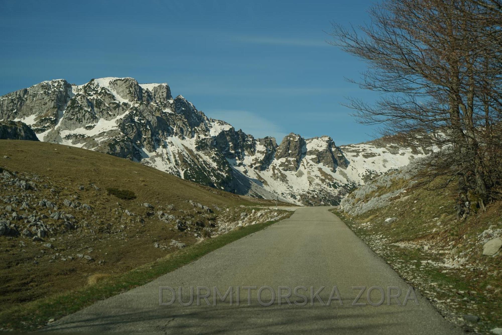 Durmitorska Zora Villa Žabljak Exteriör bild